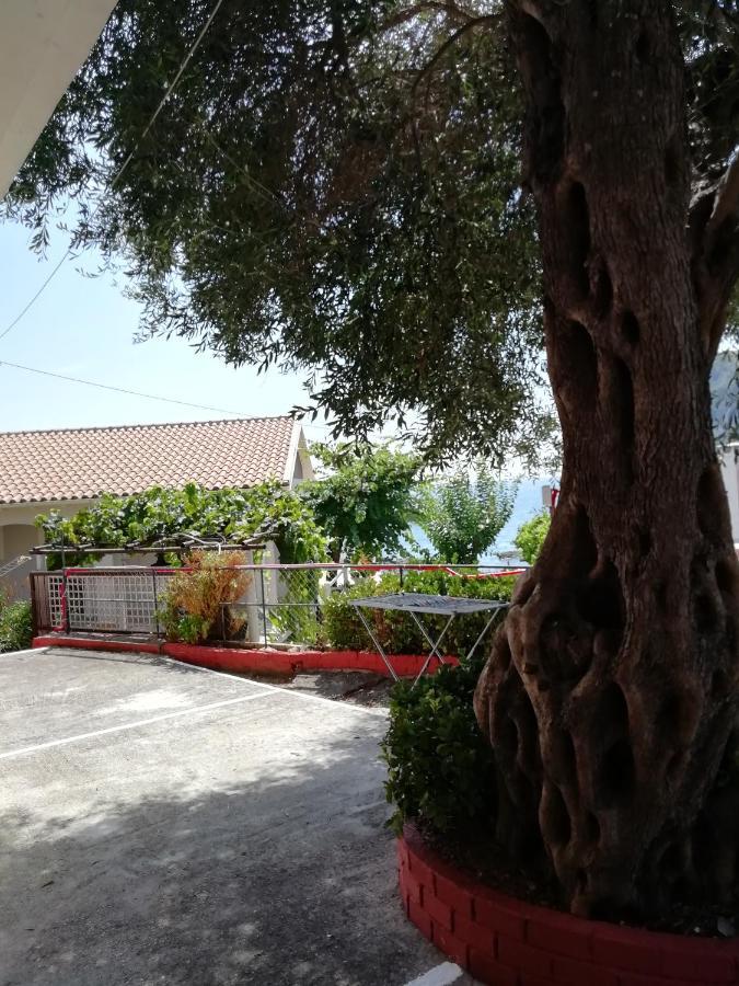 Apartament Dimitris Paleokastritsa