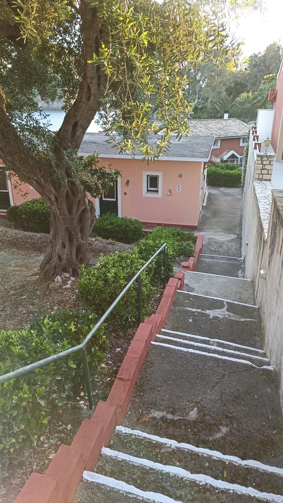 Dimitris Apartament Paleokastritsa